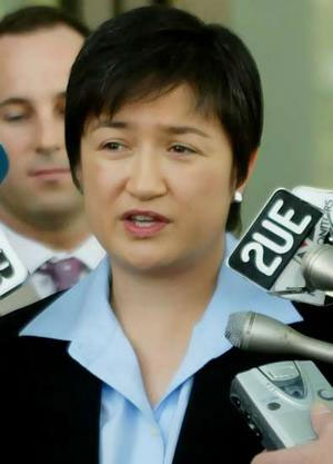 Caught up in expectations: A comment on substantive representation and Penny Wong