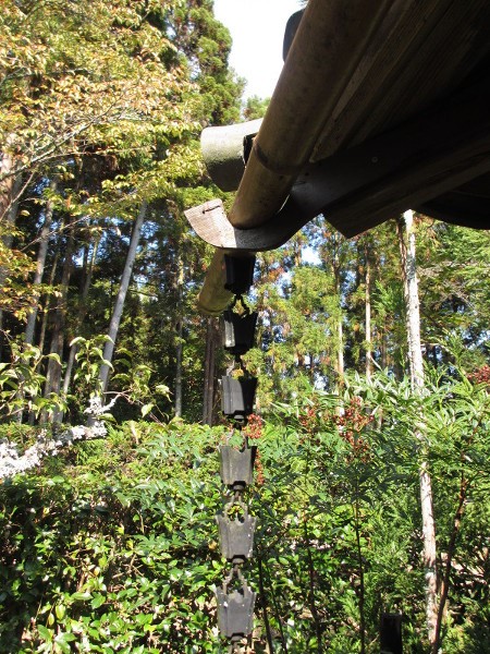 water chain on guttering of a Japanese building with forest background.