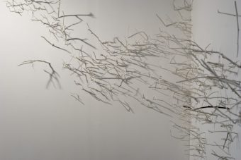 'Branches'. Porcelain paper clay slip, dimensions variable (Tang, 2008) 