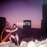 cover image for Habits - Shame/Desire